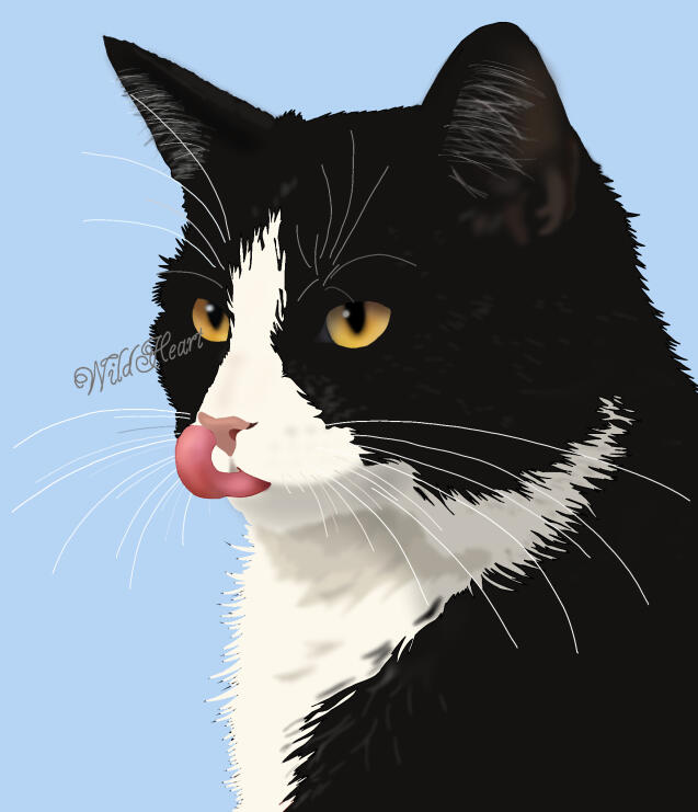 Whisker Wink